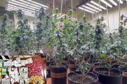 Hà Nội: Triệt phá đường dây ma túy quy mô lớn, khởi tố các đối tượng đặc biệt nguy hiểm