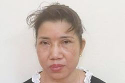 Khởi tố 'tú bà' môi giới mại dâm