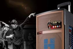 Hà Nội: Truy tìm chiếc loa nhãn hiệu MALONE - E215 bị mất cắp tại một nhà dân