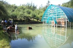 Sớm đưa ra quyết định trước khi quá muộn