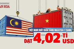 Malaysia chi hơn 4 tỉ USD mua hàng Việt, một nhóm hàng tăng 86,3%