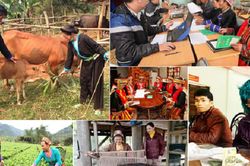 Hoàn thiện khung pháp lý thống nhất, đồng bộ về công tác dân tộc
