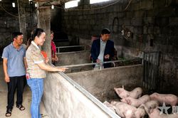 Mua Thị Và - Bí thư Chi bộ người Mông gieo niềm tin nơi biên cương Tuyên Quang