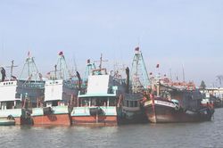 TPHCM mở th&aacute;ng cao điểm khắc phục khuyến nghị của EC về IUU