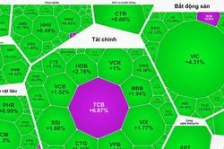 VN-Index vượt xa 1.800 điểm, cổ phiếu TCB tăng trần