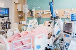 Nam du khách Úc ngừng tuần hoàn ngoại viện, hồi phục sau 5 ngày
