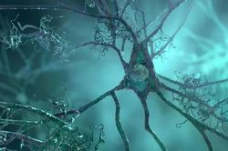 Phát hiện gen gây làm teo nơron trước khi phát bệnh Alzheimer
