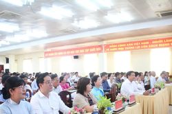 Gi&aacute;o dục Tiểu học TP Cần Thơ ghi dấu ấn đổi mới, ph&aacute;t triển năng lực học sinh