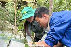 Thanh ni&ecirc;n Đ&agrave; Nẵng hiến kế gỡ kh&oacute; vốn khởi nghiệp, lập nghiệp