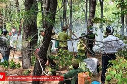 Huy động 150 người dập cháy rừng thông ở phường An Cựu