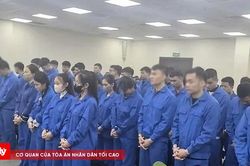 Hai 'Leader' lĩnh &aacute;n v&igrave; lừa đảo đầu tư t&agrave;i ch&iacute;nh, ngoại hối