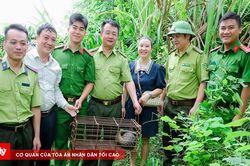 T&ecirc; t&ecirc; qu&yacute; hiếm nặng gần 3kg được người d&acirc;n giao nộp, thả về rừng