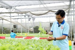 Bố trí 220.000 tỷ đồng vốn rẻ, doanh nghiệp vừa và nhỏ vẫn 'khát' tiền