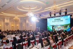 Lâm Đồng bàn giải pháp phát triển du lịch bền vững, hội nhập quốc tế