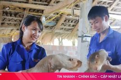 Phát triển các mô hình kinh tế thanh niên cho giá trị cao