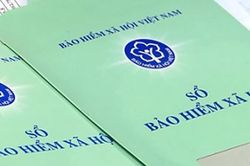 Tây Ninh vẫn còn hơn 580 doanh nghiệp nợ bảo hiểm xã hội