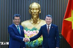 Củng cố nền tảng vững chắc của quan hệ Việt Nam-Ấn Độ