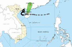 Thời tiết ngày 26/8: Bão số 4 suy yếu thành áp thấp nhiệt đới, Bắc Bộ mưa to cục bộ
