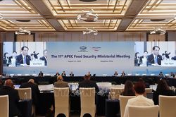 Hội nghị APEC về An ninh Lương thực: Việt Nam đề xuất 4 hướng hợp tác chiến lược