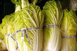 Bê bối cải thảo tại Trung Quốc gây lo ngại đối với kim chi Hàn Quốc