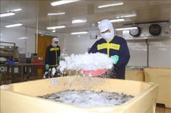 Nghị quyết 68-NQ/TW: Doanh nghiệp nhỏ và vừa phải nâng chất để hội nhập sâu