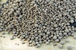 Dự án khai thác phốt phát đáy biển đầu tiên trên thế giới