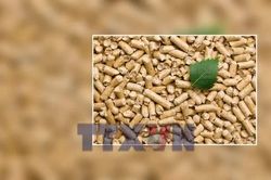 Biến phế phẩm thành 'mỏ vàng' có khả thi?
