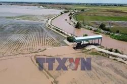 Đồng Tháp: Mở cống xả nước lũ vào đồng ruộng để lấy phù sa