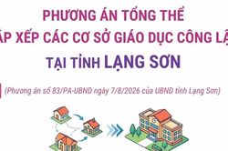 Phương án tổng thể sắp xếp các cơ sở giáo dục công lập tại tỉnh Lạng Sơn