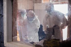 Nhân viên cứu trợ nhân đạo tại vùng dịch Ebola bị tấn công