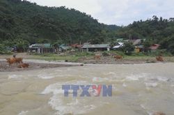 Mưa lũ gây sạt lở, chia cắt bản Na Ngân, Nghệ An
