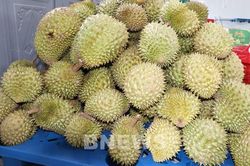 Thêm 171 mã số, sầu riêng Đắk Lắk tăng cơ hội xuất khẩu chính ngạch