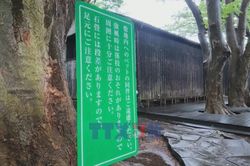 Khám phá 'vựa gạo' trăm năm của Nhật Bản
