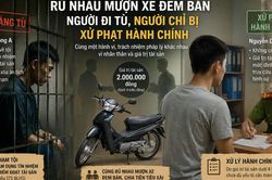 C&ugrave;ng nhau phạm tội, người đi t&ugrave;, người chỉ bị phạt h&agrave;nh ch&iacute;nh