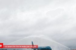 Cảnh giác chiêu lừa bán vé máy bay giá rẻ dịp lễ 2/9