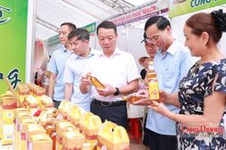 Hà Tĩnh khẳng định vị thế sản phẩm công nghiệp nông thôn tiêu biểu