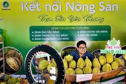Thương mại điện tử mở thêm kênh xuất khẩu cho doanh nghiệp Việt