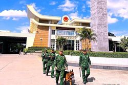 Mộc B&agrave;i tăng cường đấu tranh ph&ograve;ng, chống xuất nhập cảnh tr&aacute;i ph&eacute;p