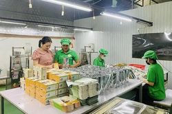 N&acirc;ng cao chất lượng v&agrave; ph&aacute;t triển sản phẩm OCOP tr&ecirc;n địa b&agrave;n tỉnh