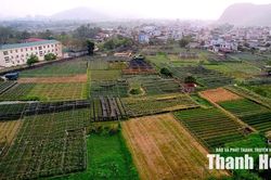 Thanh Hóa ban hành Sổ tay hướng dẫn trình tự, thủ tục bồi thường, hỗ trợ, tái định cư khi Nhà nước thu hồi đất