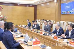 Chủ tịch UBND tỉnh T&ocirc; Anh Dũng tiếp v&agrave; l&agrave;m việc với Hội đồng Kinh doanh Hoa Kỳ - ASEAN