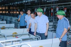 Tạo điều kiện thuận lợi để các dự án chăn nuôi quy mô lớn đi vào hoạt động đúng kế hoạch