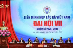Đổi mới tư duy hợp tác xã, tạo động lực nâng tầm giá trị và phát triển bền vững