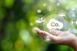 Hải Phòng hợp tác thúc đẩy triển khai thực hiện kế hoạch giảm phát thải carbon