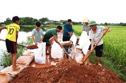 Phúc Hòa khẩn trương ngăn nước lũ, bảo vệ đồng ruộng