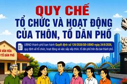 [Infographic] - Quy chế tổ chức và hoạt động của thôn, tổ dân phố