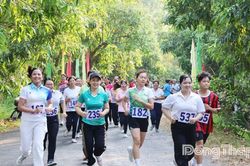Ngày hội thể thao lớn của tỉnh