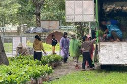 Đak Sơmei hỗ trợ giống cây trồng, vật tư nông nghiệp cho người dân sản xuất