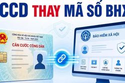 Từ ngày 1-9 dùng số căn cước thay mã BHXH: Người dân có phải đổi sổ, thẻ BHYT?