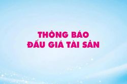 Công ty Đấu giá Hợp danh Vạn Thiên Phước thông báo đấu giá tài sản